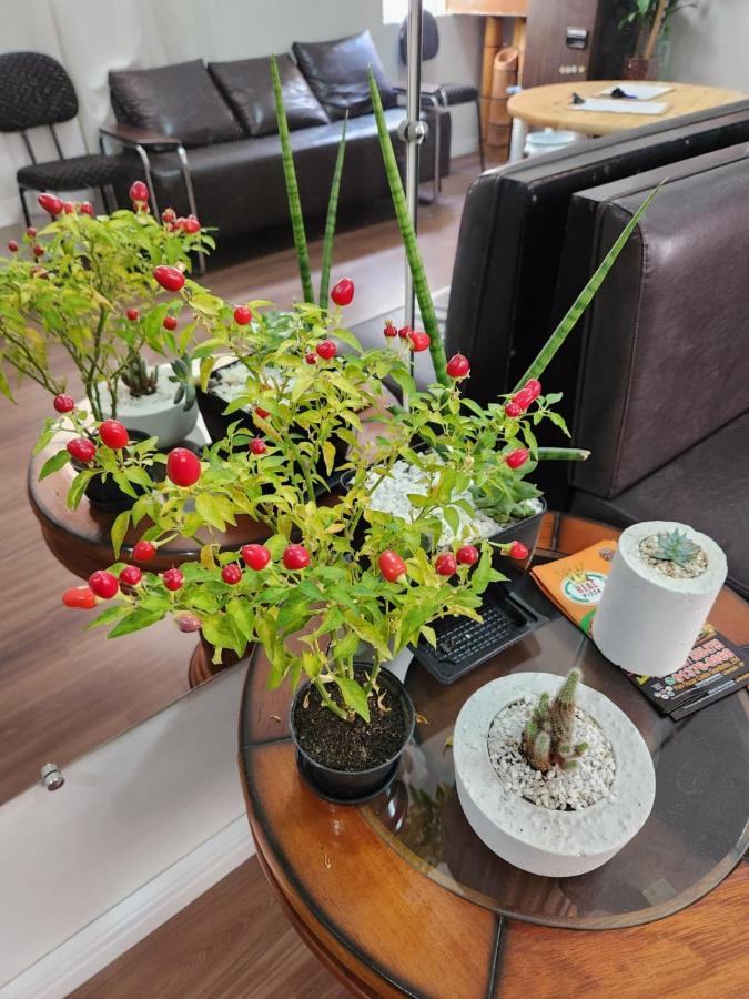 Fujima Hostel São Paulo Ngoại thất bức ảnh
