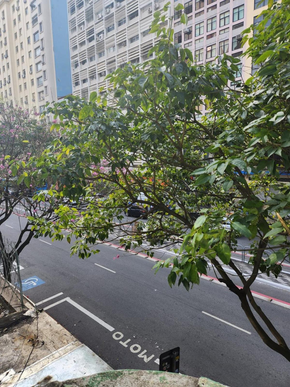Fujima Hostel São Paulo Ngoại thất bức ảnh
